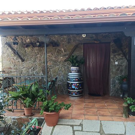 Casa Rural Los Olivos Sotoserrano المظهر الخارجي الصورة