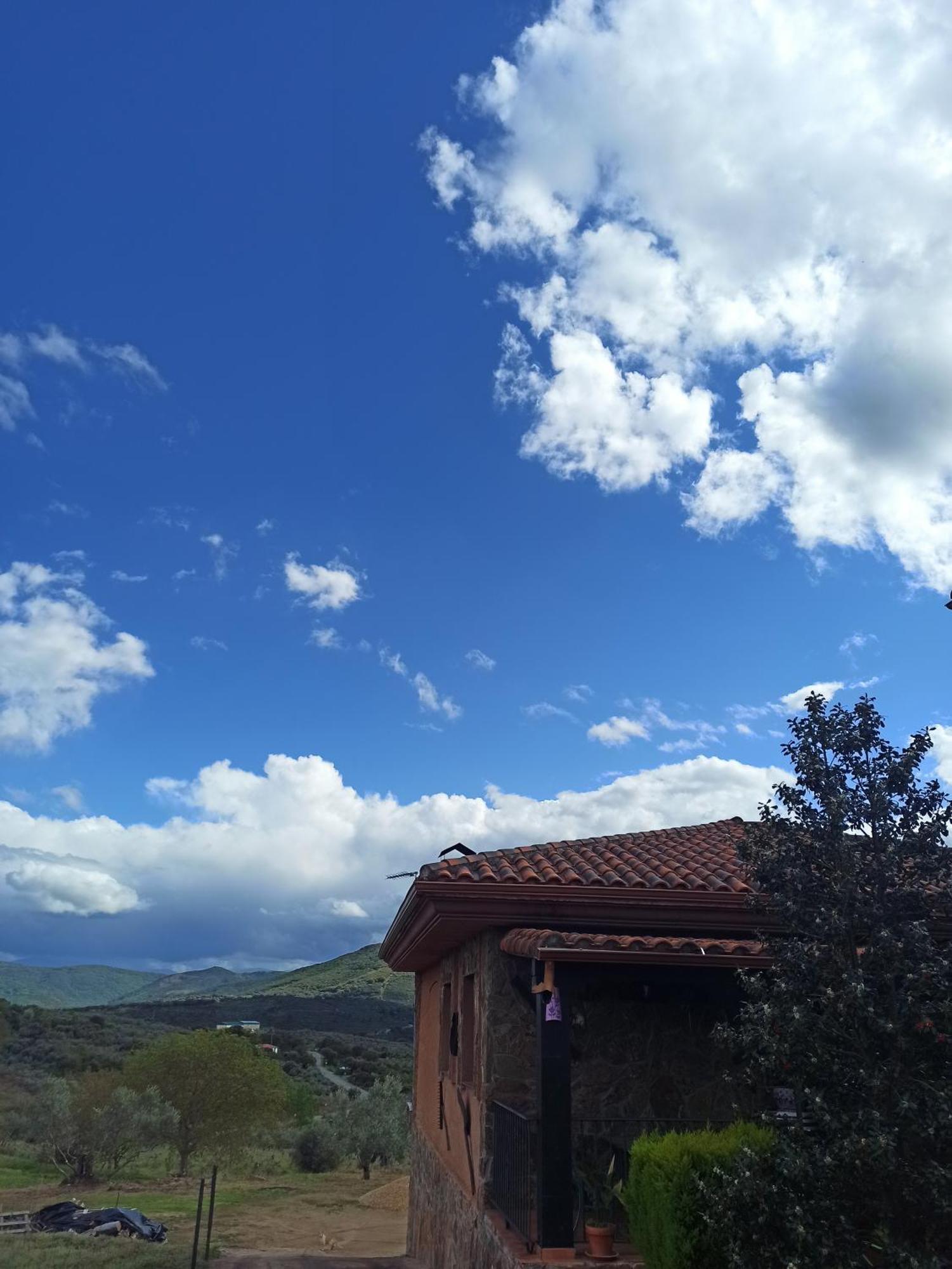 Casa Rural Los Olivos Sotoserrano المظهر الخارجي الصورة